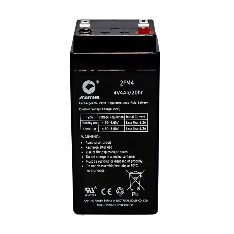 Special Case 4V4Ah Battery